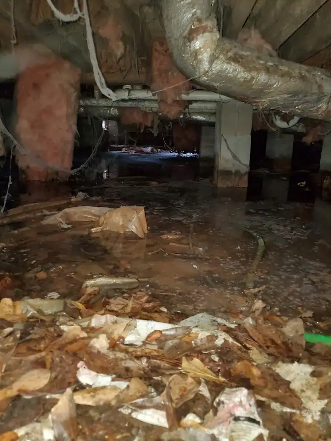 Crawl space flood assessment for Leak Detection & Repair in Greenville